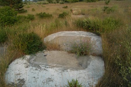 Traverse Drive-In Theatre - Ticket Booth Foundation